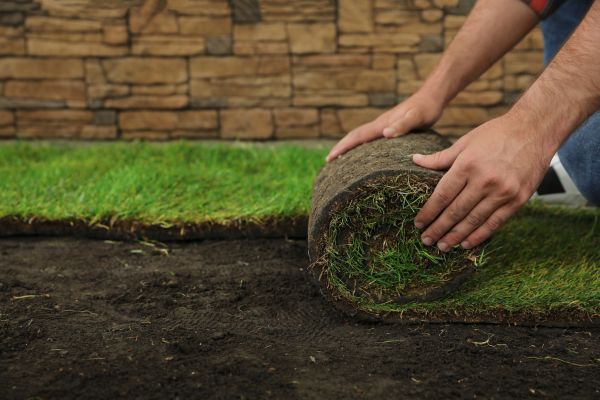New Sod Installation - New Sod Installation Durham, North Carolina