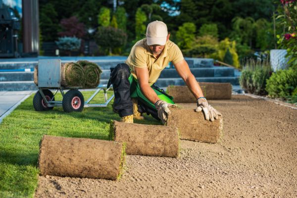 Fresh Grass Installation