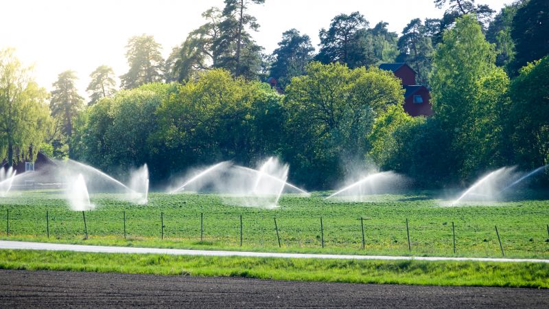 Cost of Sod and Sprinkler Installation — Cost of Sod and Sprinkler Installation