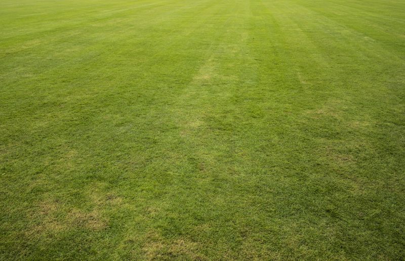 Sod And Sprinkler Installation