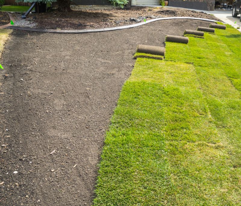 Sod And Sprinkler Installation