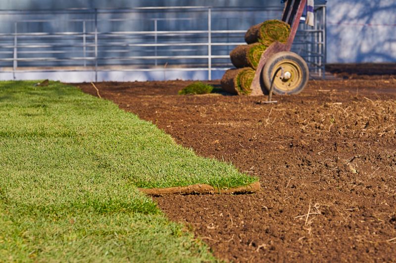 Sod And Sprinkler Installation