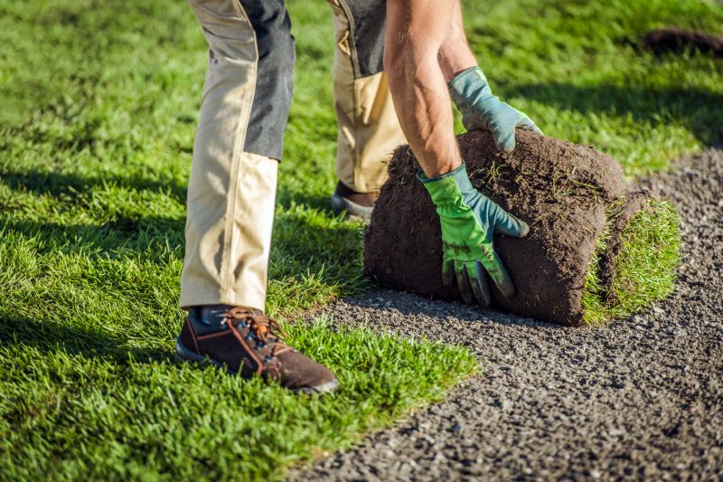 Sod Laying Process