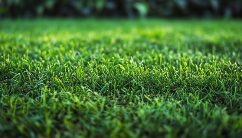 Why Sod Installation Is The Fastest Way To A Green Lawn